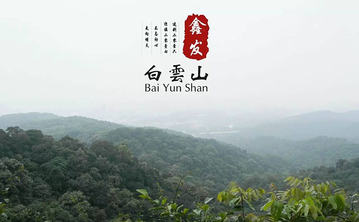 鑫发白云山